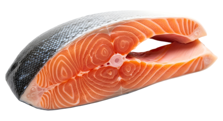 Fresh Salmon Fillet Raw Seafood Transparent Background