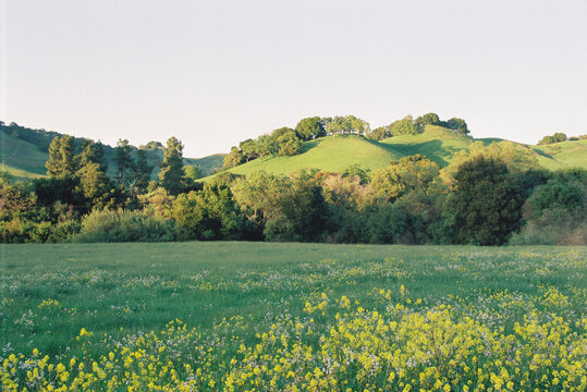 Sunset hills in the countryside in northern california