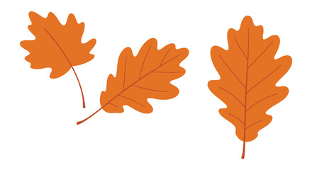 Three orange oak leaves on a white background in a simple illustration style