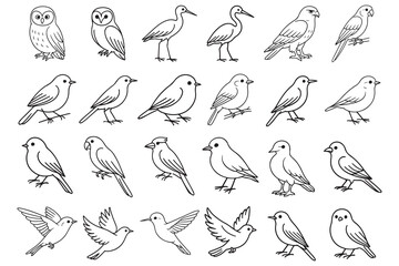 Bird Line Art  Illustrations: Owls, Waders, Songbirds, and Parrots in a Minimalist Style.