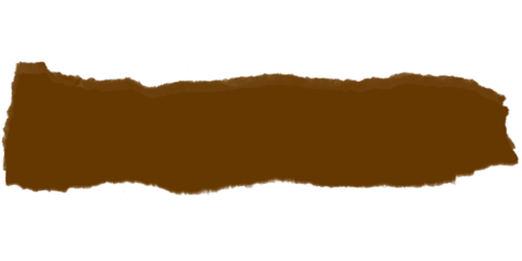 A simple image showing a brown irregular shape against a black background with pixelated edges visible