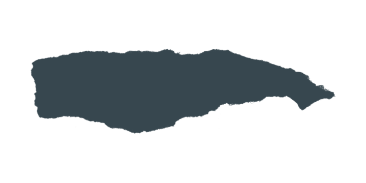 A dark gray blob shape with jagged edges isolated against a black background in a simple illustration