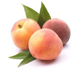 Frische Pfirsiche