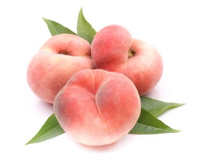 Frische Plattpfirsiche