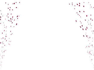 紙吹雪、m11ワイン、7縦