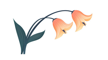 Minimalistic floral art featuring stylized bellflowers for modern botanical design