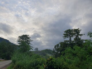 clouds over the forest