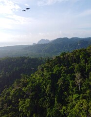 Naklejka premium Aerial view of lush tropical landscape