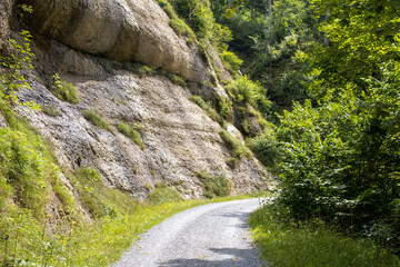 mountain road in the mountains