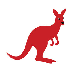 kangaroo vector illustration