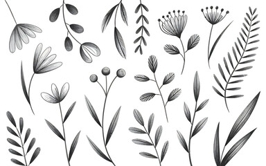 Fototapeta premium Elegant black and white pencil sketch illustration