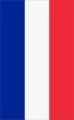 Vertical France Flag Vector.
