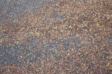 pebble stone background