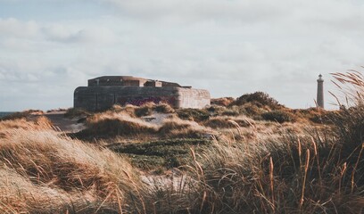 Views from around Grenen in Northern Denmark