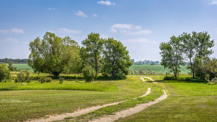 Dirt road leading out into unknown