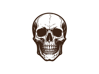 Human Skull Vector Illustration