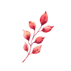 Watercolor illustration of a branch with bright red autumn leaves. Hand-painted botanical element isolated on a white background. For fall design, invitations, posters, packaging, fabric prints.