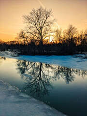 winter reflection