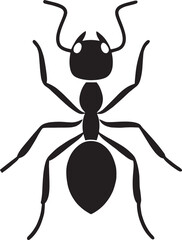 Black Ant Illustration Top View