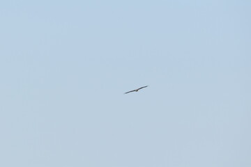 Parc Maritime Nicolet 22 Août 2025