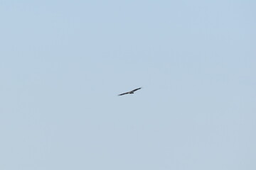 Parc Maritime Nicolet 22 Août 2025