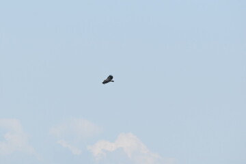 Parc Maritime Nicolet 22 Ao&ucirc;t 2025