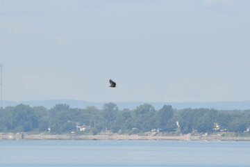 Parc Maritime Nicolet 22 Ao&ucirc;t 2025