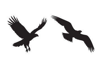 Silhouette duo of majestic eagles in mid-flight capturing the freedom of the skies