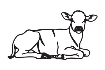 Simple line art drawing of a young calf lying down peaceful farm animal