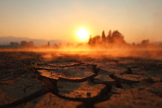 cracked earth in dry sunlit field with swirling dust and heat haze - Powered by Adobe