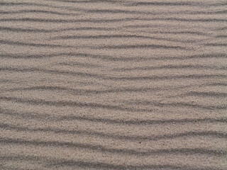 Obraz premium Fine sand ripples forming natural wave-like patterns on the beach surface. Minimalist background with organic texture