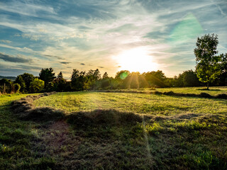 Obraz premium Frisch gemähte Wiese