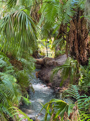 The river in Green Springs Park.