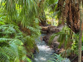 The river in Green Springs Park.