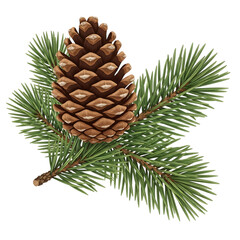 Illustration of a detailed closeup of a brown pine cone resting on a green evergreen branch with needles, isolated on a transparent background