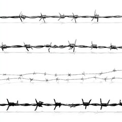 Stark Barbed Wire Strands: A Study in Security, Threat, and Sharply Defined Minimalism