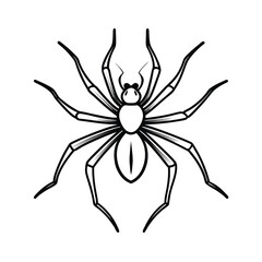 Line art outline of a spider with eight legs spread for banners and advertisements