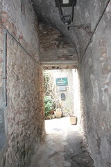 Fototapeta premium entrance to the castle