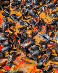 Mussels prepared in sauce. Seafood dish