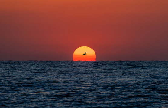 A beautiful sunset on the ocean. The big sun sets into the water - Powered by Adobe