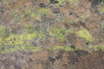 moss on stone