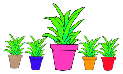 Colorful potted houseplants illustration