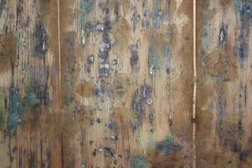 old wood texture