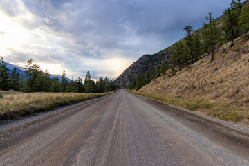 Scenic Dirt Road Amid Lush Pine Forest and Mountain Landscape in BC, Canada