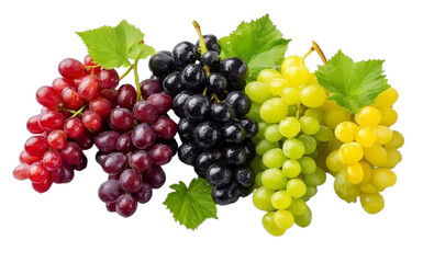 A striking display of five different grape varieties, including red, black, and green, with a transparent background.