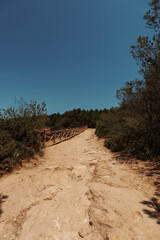 Algarve, Portugal – 2025.06.30 – A rugged dirt trail bordered by a wooden fence, surrounded by green shrubs and trees under a bright summer sky.