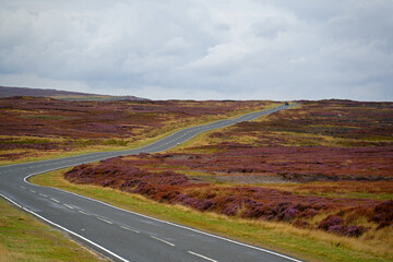 north york moors