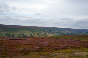 north york moors