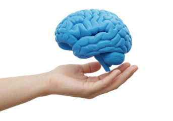 Exploring the human brain innovative concepts scientific study modern environment. Cut out PNG