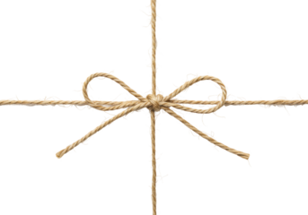 Crafting elegance handmade bow knot studio minimalist aesthetic appeal. Cut out PNG